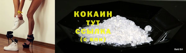 сатива Армянск