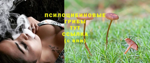 ПСИЛОЦИБИНОВЫЕ ГРИБЫ Арсеньев