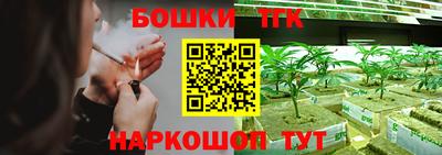 тгк Заводоуковск
