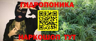 скорость Заволжье