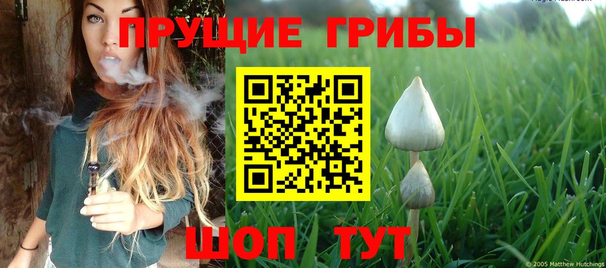 купить закладку  Галлюциногенные грибы ЛСД  Псилоцибиновые грибы мицелий  Вход с VPN  Петропавловск-Камчатский 