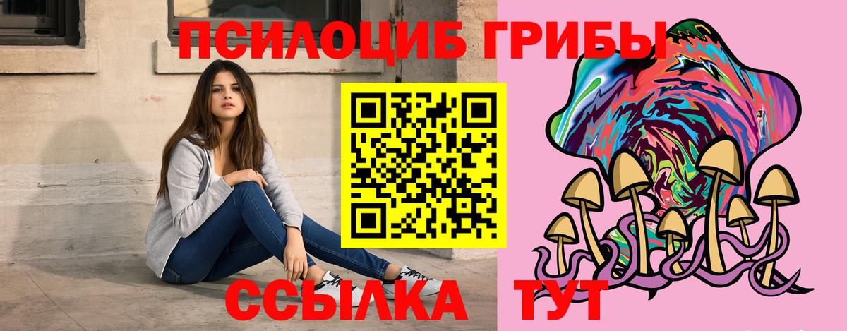 Псилоцибиновые грибы Cubensis Петропавловск-Камчатский